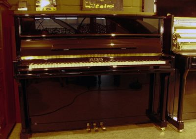 amadeus-up-118-1